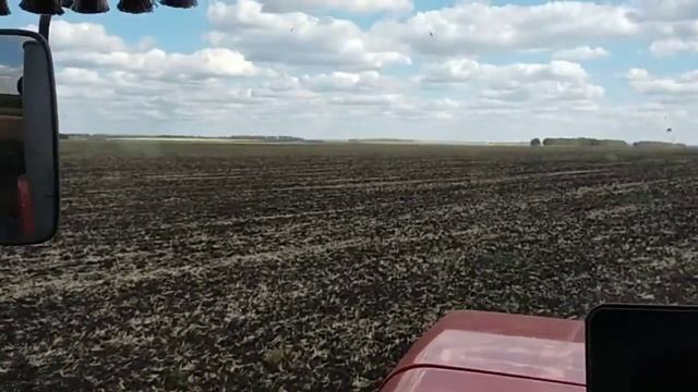 посев озимой пшеницы смотреть онлайн