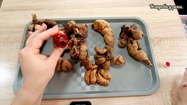 ПРОРАЩИВАНИЕ ГЕОРГИНОВ ВЕСНОЙ// ДЕЛЕНИЕ КЛУБНЕЙ ГЕОРГ