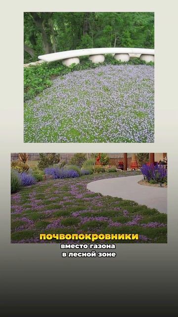 Декоративные элементы, которые сделают сад неотразим? смотреть онлайн