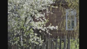 Иеромонах Роман, монах Афанасий (Кокорев).  «Недолго будут красоваться в белом…»