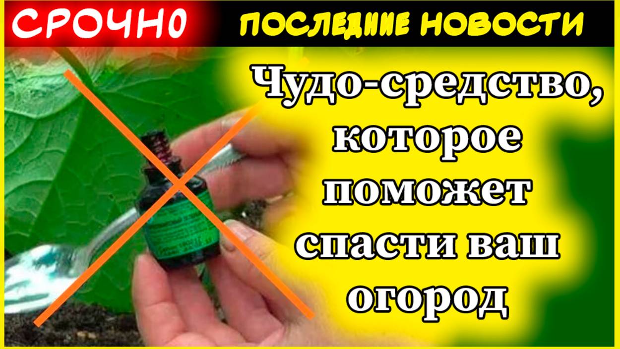 Как избавиться от муравьев и тли на огороде: секретное средство за копейки! смотреть онлайн