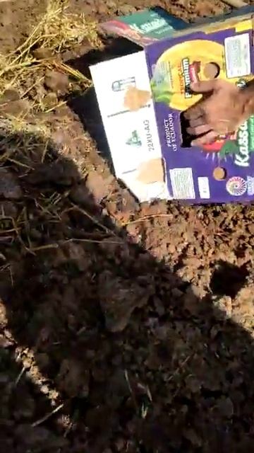 Первая грядка с червями Алматы Каскелен#solucan kazakistan#biohum смотреть онлайн