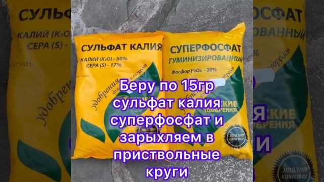 Осенняя подкормка пионов 🌸🌸🌸 смотреть онлайн