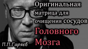 Оригинальная  матрица Гаряева для очищения сосудов головного мозга и улучшения кровообращения