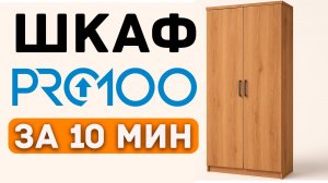 Быстрый старт в PRO100 для НОВИЧКОВ. Учимся на проекте ШКАФА.