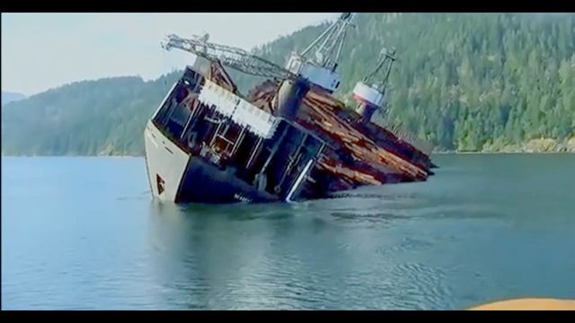 Прикольные моменты 2017 года. новые приколы. смотреть онлайн