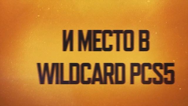 Добро пожаловать на Chicken Front League!