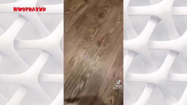 Русские Приколы 😂 ЛУЧШИЕ ПРИКОЛЫ😜 Взрослый Юмор 💋#10 1 смотреть онлайн