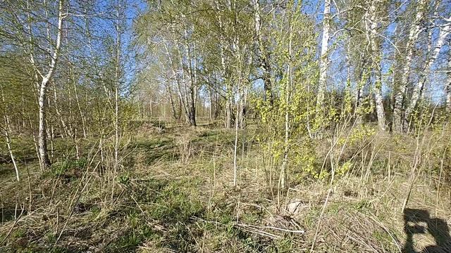 1000055352.mp4 смотреть онлайн