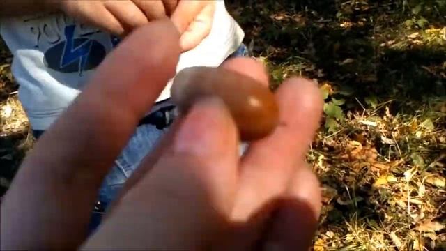 "Бабье лето " берите кисти в руки !!! смотреть онлайн