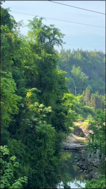 Китай смотреть онлайн