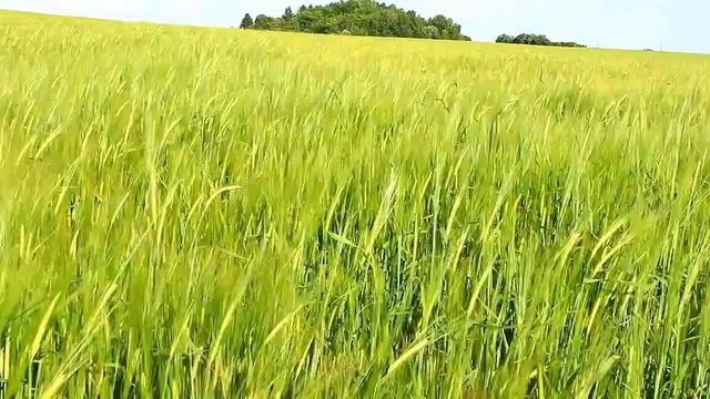 ФУТАЖИ для сайта priroda2 смотреть онлайн