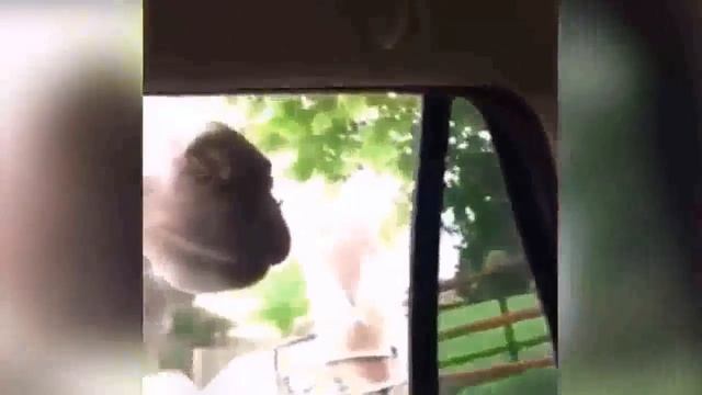 #РЖАКА 2017!! смех до слёз! смотреть онлайн