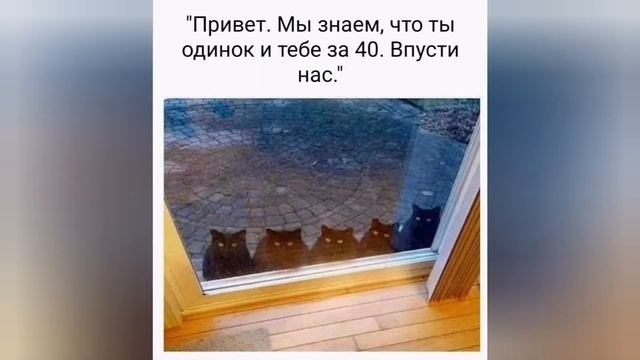 Весёлая коллекция номер 26 #приколы смотреть онлайн
