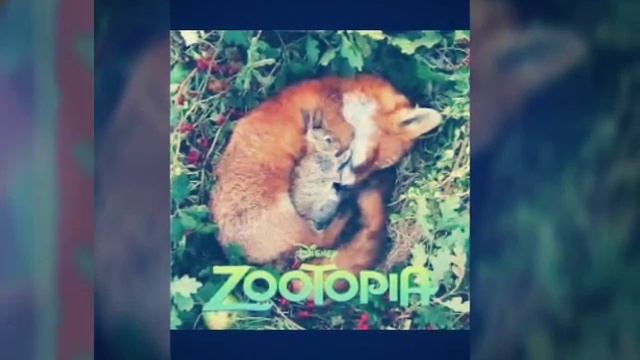 Звераполис клип 2