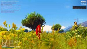 ГАЙД! САЖАЙ СЕМЕНА ГРИН ТОЛЬКО ТУТ! В GTA 5 RP | Маджестик RP