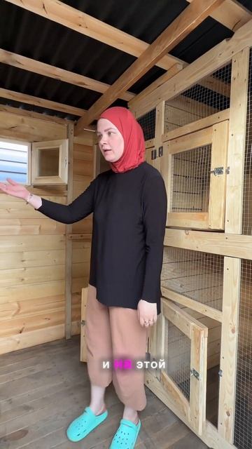 #перепела#курица#курятник#дом#огород#огородник#цветы#? смотреть онлайн