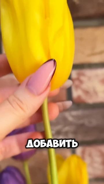 Есть смысл уточнить это «подкормка» для цветов или ан? смотреть онлайн