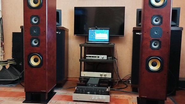 Triode TRX-88PP + Whatmough Model 502 часть 1