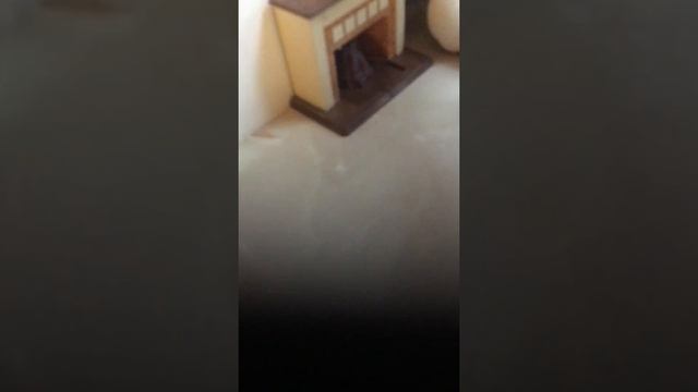 Хочу Удалить свой канал, Комната моего пэта смотреть онлайн