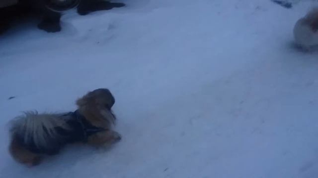 холодно однако) смотреть онлайн