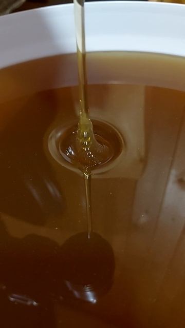 танцующий мёд #shorts