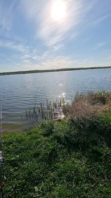 Открыл сезон карася 2025