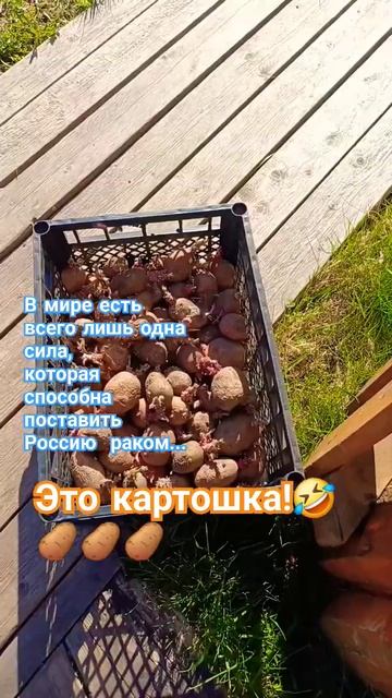 #деревня #село #весна #огород смотреть онлайн