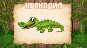 Учим животных - Животные Африки - Развивающие мультики для детей