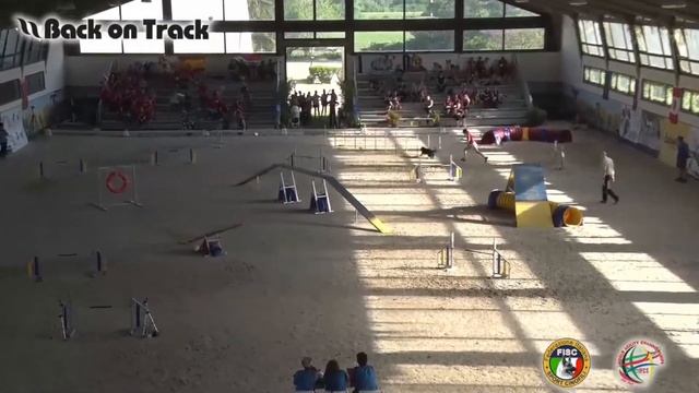 2018 World Agility Championship   25.04.18 Даша и Нейт