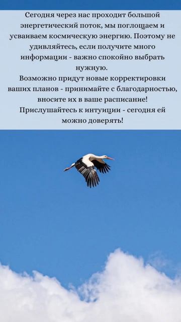 🌛 Лунный календарь пятницы 23 июня #советдня #лунныйка смотреть онлайн