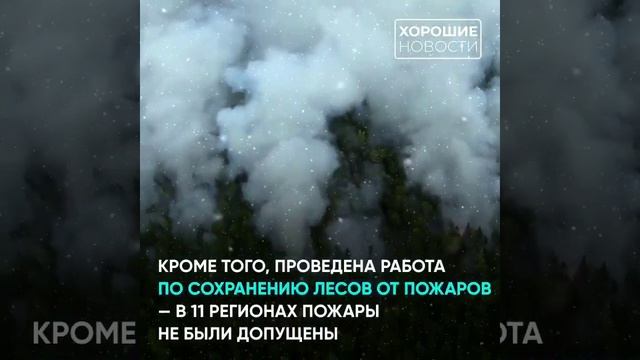 В 2021 году, в России высадили 70 млн. деревьев. смотреть онлайн