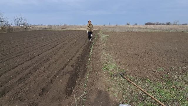 15 марта сеем и сажаем! Огороды ждут смотреть онлайн