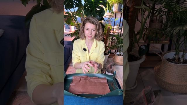 Папоротник Платицериум пересадка в Кокедаму!