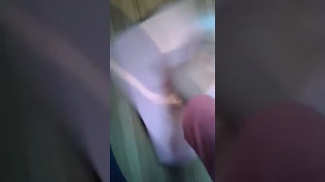 Мои милые рисунки / Айкони like смотреть онлайн