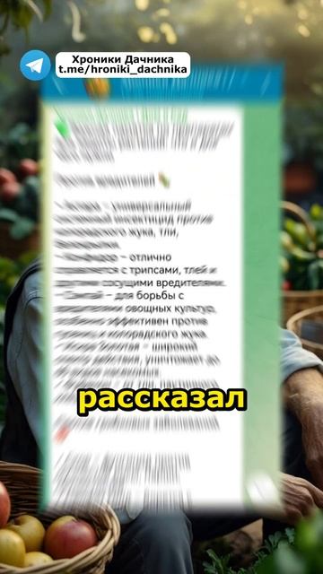 Сделайте это с чесноком прямо сейчас: секрет урожая че смотреть онлайн