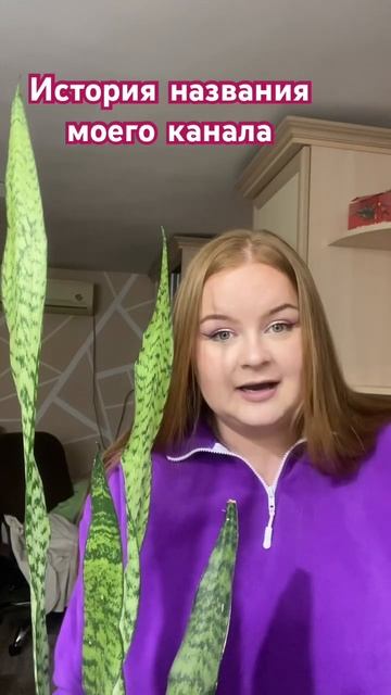 Название моего канала ЗАМИВИКУЛЬКАС 🪴 #plants #растения смотреть онлайн