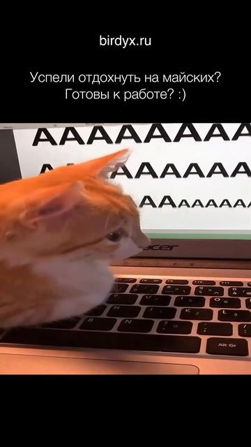 🌚Готовы отпустить майские и вернуться к работе? #excel #майские #гуглтаблицы #shorts #мем #mems смотреть онлайн