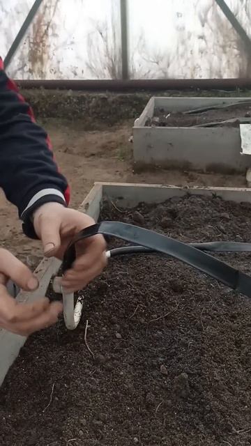 ГРЯДКИ В ПОРЯДКЕ. 12.01. 2025 смотреть онлайн