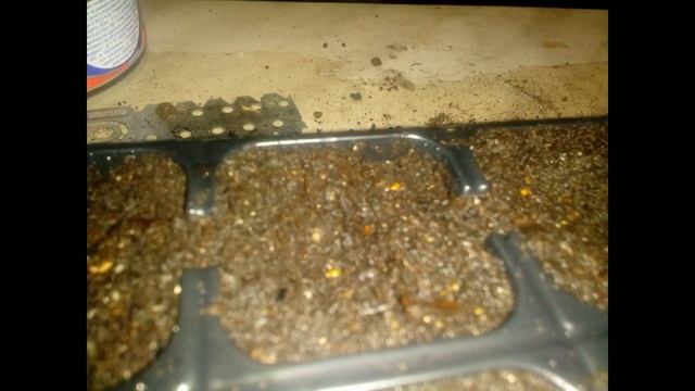 Как посеять Виолу смотреть онлайн