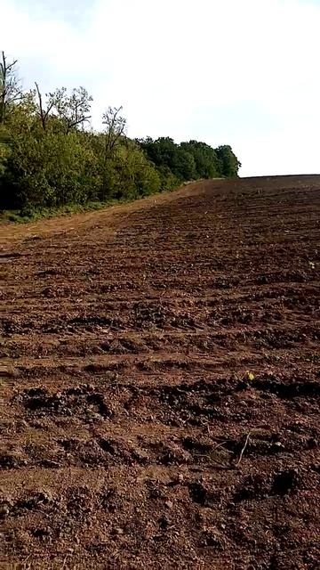 Первые всходы 2024 года смотреть онлайн