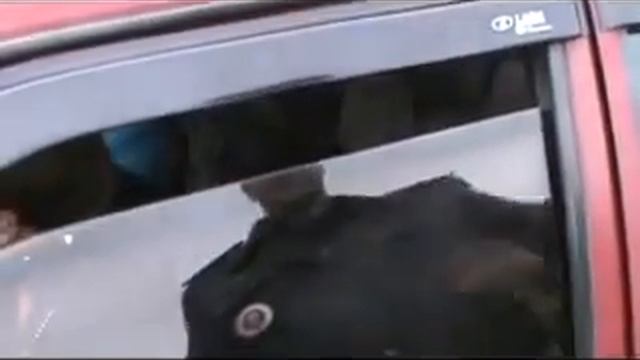 Пьяная за рулем - документов нет, совести тоже! смотреть онлайн