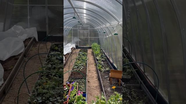 Рабочий день #ландшафтныйдизайнер #уфа #брогрин смотреть онлайн