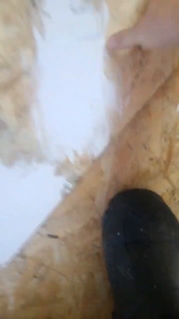 Садовые Раи