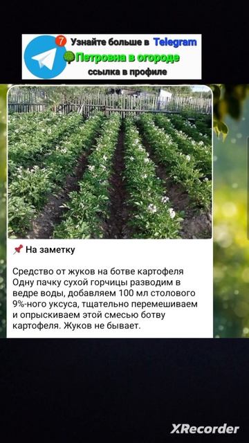 🥔 советы по выращиванию картофеля смотреть онлайн