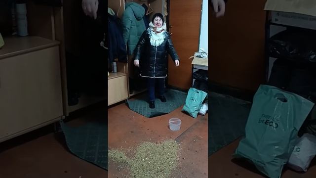 Сеем, сеем, посеваем! С новым годом поздравляем! #сеемс? смотреть онлайн