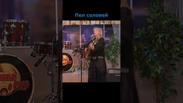 Жанна Бичевская - Пел соловей