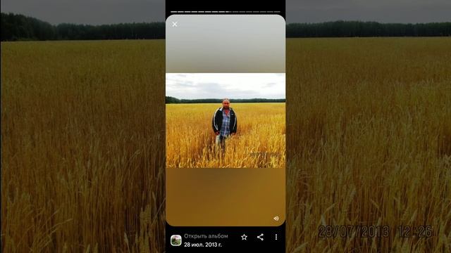 28.07.2013год. один день из жизни. озеро Светлояр. смотреть онлайн