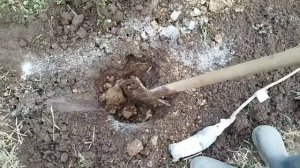 ПОСАДКА ДЕРЕВЬЕВ РАННЕЙ ВЕСНОЙ. ПОСАДКА ЧЕРЕШНИ ВЕСНО