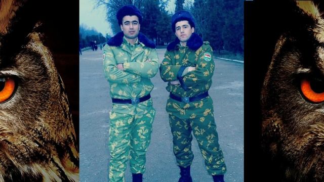 С 23 февраля! Прикольное Поздравление/ С днём защитника Отечества 2022.